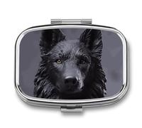 Metal Pill Box with Mirror - 2 Compartment Travel Pill Case for Purse Portable Pillbox Compact Vitamin Container Black German Shepherd Medicine Organizer for Fish Oil & Supplement