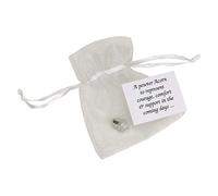 Metal Planet Ltd Pewter Acorn Gift Courage Comfort & Support in the Coming Days Message, Pouch Provided & Printed Tag