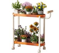Metal Plant Stand with Wheels and Handle - 2 Tier Corner Shelf Planter Holder for Tall Plants - Indoor Storage Rack for Living Room, Balcony, Entryway, Modern Design