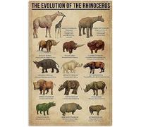 Metal Poster Funny Rhino Knowledge Learning The Evolution of The Rhinoceros,Wall Plaque,Bar Pub,Home,Metal Tin Signs,Garden S
