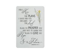 Metal Poster Vintage Tin Signs Christian Bible Scripture Jeremiah 2911 For I Know The Plans I Have For You Aluminum Sign Prints Decor For Home Farmhouse,Christian Decor,Christian Gifts 12x16 Inch