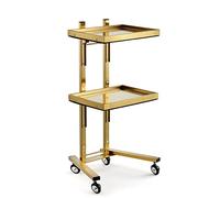 Metal Rolling Cart with 2 Shelves Stainless Steel Utility nizer for Salon Kitchen Bedroom Tattoo Shop - Easy Mobility & Storage with Handles