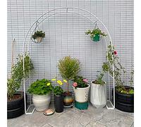 Metal Rose Climbing Support Weatherproof Garden Trellis Pergola Archway for Climbing Plants on Garden Terrace(White,W300Xh220Cm), Gbdgjd, White, W350*H220cm