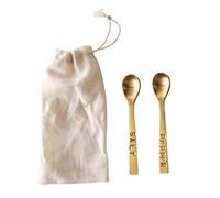 Metal Salt & Pepper Spoons in Drawstring Bag, Brass Finish, Set of 2