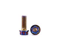 Metal Screws 2Pcs 304 Stainless Steel Inner And Outer Hexagonal Flange Screw/Motorcycle Modified Mudguard Bolts M6-M10(Titanium Blue,2pcs M6x50)
