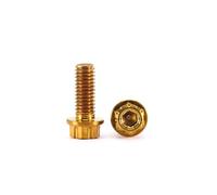 Metal Screws 2Pcs 304 Stainless Steel Inner And Outer Hexagonal Flange Screw/Motorcycle Modified Mudguard Bolts M6-M10(Titanium Gold,2pcs M6x45)