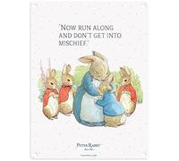 Metal Sign - Beatrix Potter's Peter Rabbit ('Now run along and don't get into mischief', 20 x30 cm)