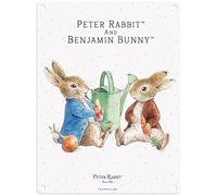 Metal Sign - Beatrix Potter's Peter Rabbit (Peter Rabbit and Benjamin Bunny eating, 15 x 20 cm)