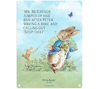 Metal Sign - Beatrix Potter's Peter Rabbit (Peter Rabbit - Mr McGregor jumped up and ran after Peter, 20 x30 cm)