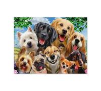 Metal Sign,Dog selfie,Tin Signs New Year Easter Wall Decoration Bar Pub Family Cafe Signs Men Cave Gifts for Friends Family Fun Signs Nice Sign(30x40cm)12x16 inch-E60