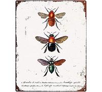 Metal Sign for Outdoors Types of Bees Metal Sign Printable, Giant Bumblebee, Carpenter bee, Types of Insects Illustrated, Natural History, Wall Art Decor Sign Metal 8 * 12 Inch