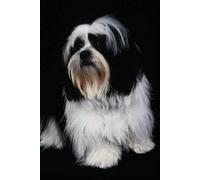 Metal Sign Lhasa Apso Dog Tin Metal Plaque Wall Decor 8X12 Inch