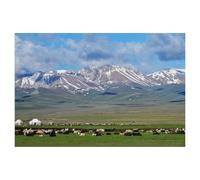 Metal Sign，Summer Pasture, Song Kul, Kyrgyzstan，Tin Signs New Year Easter Wall Decoration Bar Pub Family Cafe Signs Men Cave Gifts for Friends Family Fun Signs Nice Sign(30x40cm）12x16 inch-AG90