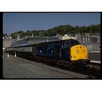Metal Sign Trains 391090 British Rys Delta Class Diesel 37181 1984 A4 12x8 Aluminium