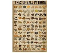 Metal Sign Types of Ball Pythons Tin Sign Bar Home Decoration New Year Sign The Best Gift for Parents, So That Children Can Gain Knowledge in Daily Life 8X12 inch