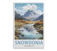 Metal Sign Up Tin Signs New Year Easter Wall Decoration Bar Pub Family Cafe Signs Men Cave Best Gifts for Friends Snowdonia North Wales20x30cm(8x12 Zoll) A514