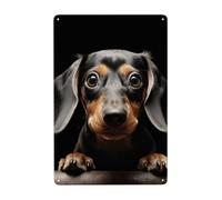 Metal Sign Vintage Funny Tin Sign Pad Dachshund Metal Poster Decoration Signs Stylish Wall Art Outdoor Yard Signs for Home Living Room Bedroom Yard Wall Decor Gift 30x20 CM