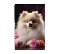 Metal Sign Vintage Funny Tin Sign Pomeranian and Flowers Metal Poster Decoration Signs Stylish Wall Art Outdoor Yard Signs for Home Living Room Bedroom Yard Wall Decor Gift 30x20 CM