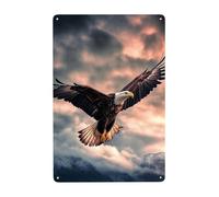Metal Sign Vintage Funny Tin Sign The Eagle Flies Bravely in the Sky Metal Poster Decoration Signs Stylish Wall Art Outdoor Yard Signs for Home Living Room Bedroom Yard Wall Decor Gift 30x20 CM