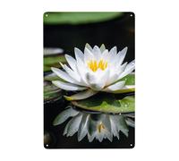 Metal Sign Vintage Funny Tin Sign White Water Lily Metal Poster Decoration Signs Stylish Wall Art Outdoor Yard Signs for Home Living Room Bedroom Yard Wall Decor Gift 30x20 CM