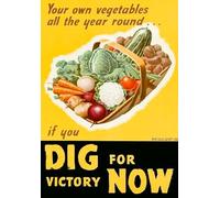 Metal Sign Vintage WW2 British Grow Your Own Dig For Victory World War II Plaque - A4