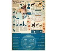 Metal Signs Dog Training Knowledge Effect Of Training In The Dogs' Brain Metal Tin Sign Retro Decor For Pub Room Office Basement M