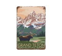 Metal Signs,Grand Teton National Park, Wyoming, Moose And Mountains,Nostalgic Man Cave Tin Metal Sign Hanging Wall Plaque Kitchen Shed Garage(15x30cm）6x12 inch-E85