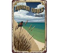 Metal Signs Retro Indiana Dunes National Park Travel Tin Signs Indoor & Outdoor Home Bar Coffee Kitchen Wall Decor30*30cm
