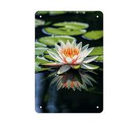 Metal Signs Water Lily Vintage Metal Tin Sign with Folded Durable Rustproof Iron Art for Home Office Kitchen Cafe Garden Patio Farmhouse Wall Decor 11.8x7.9 Inch