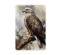 Metal Signs Watercolor of Hawk Sitting in The Tree Vintage Metal Tin Sign with Folded Durable Rustproof Iron Art for Home Office Kitchen Cafe Garden Patio Farmhouse Wall Decor 11.8x7.9 Inch