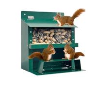 Metal Squirrel with Transparent Plate - Cedar Feeders for Squirrels - Home Boxes - Nature Observation Food Supply for Winter | to Feed