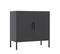 Metal Storage Cabinet with Doors and Adjustable Shelves, Steel Garage Storage Cabinet, Metal File Cabinet for Home Office School Gym, Black