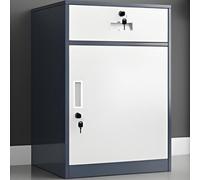 Metal Storage Cabinet with Lock and 1 Drawer, Adjustable Shelf, Under Desk File Cabinet for Office or Garage