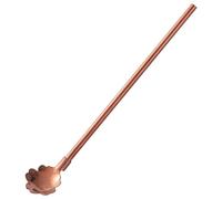 Metal Straw Spoons Stainless Steel Sakura Straw Spoon Dual Purpose Spoon(Colour 3)