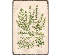 Metal Tin Retro Sign Antique Flower Print 1899 Original Botanical Chromolithograph Tin Sign Poster Vintage Metal Signs For Bar Music Club Man Cave Room Wall Decor 8x12 Inch
