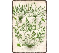 Metal Tin Retro Sign Authentic 1898 Antique Fern Print Chromolithograph Poster Plaques For Home Living Room Kitchen Cafe Bar Wall Decor Tin Sign Metal Signs Vintage 8x12 Inch