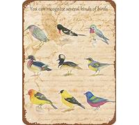 Metal Tin Sign 6" x 8"Vintage Rusty Inches,You can Identify Several Kinds of Birds, Decor Best Farmhouse Decor Gift Ideas for Friends Metal Sign Gift for Lovers, Friends, Family, Women, Girl