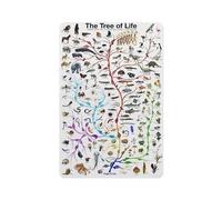 Metal Tin Sign 8 X 12 Inch - Evolution The Tree of Life Novelty Biology Science Chart Poster - Metal Plaque, Educate Decorative Signage For Classroom Or Home