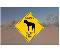 Metal Tin Sign Australian Style Road Sign Australia Road Sign Novelty Fun Dingoe Outback Sign Sign 12x12 inches