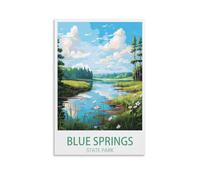 Metal Tin Sign Blue Springs State Park Metal Wall Art Bar Sign for Kitchen Pubs Coffee Metal Wall Decoration 20x30cm