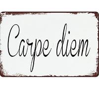 Metal Tin Sign For Carpe Diem Funny retro wall art decoration poster suitable for garage bar restaurant living room bedroom kitchen cafe bar 12X8 Inches