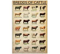 Metal Tin Sign for Cow Breed Lovers - Gift, Art, Decor Wall Home & Classroom - 6x8inch