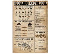 Metal Tin Sign Hedgehog Knowledge Hedgehogs Of The World Funny Metal Poster Elegant Wall Poster Novelty Wall Sign For Pub Bathroom Bar S