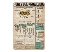 Metal Tin Sign Honey Bee Knowledge Metal Sign Life Cycle of Honeybee Infographics Tin Sign Vintage Art Wall Decor Sign Home Kitchen Bar Patio Cave Funny Decor 8x12 Inches