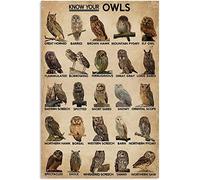 Metal Tin Sign Know Your Owls Owl Type Knowledge Metal Signs Funny Poster For Home Room Pub Club M