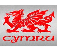 Metal Tin Sign Metal Sign Metallic Welsh Dragon Flag Cymru Wales Tin Wall Home Door Plaque 8X12 Inches