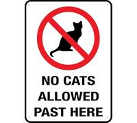 Metal Tin Sign No Cats Allowed Past Here Wear-Resistant And Durable Metal Sign Fixings Included Iron Signs For Bathroom Bar Living 20X30Cm