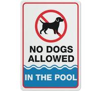 Metal Tin Sign No Dogs Allowed In The Pool Decor Iron Poster Painting Exquisite And Beautiful Metal Sign For Restaurant Hotel Room 20X30Cm