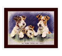 Metal Tin Sign Picture Print Wire Fox Terrier Puppy Dog Trio Art Wall Poster Retro Bathroom Sign Vintage Metal Wall Sign For Pub Home Wall 20x30 cm