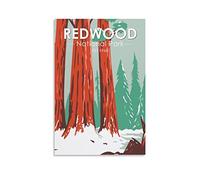 Metal Tin Sign Redwood National Park Tree Funny Retro Metal Wall Decor Decorative Tin Sign Art Plaque Poster for Home Kitchen Bar Club Decoration 30x30cm